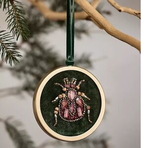 Anthropologie framed beetle ornament x1